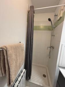 a bathroom with a shower with a shower curtain at L'escapade in Annemasse