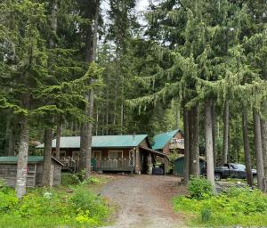 a house with a green roof in the woods at Hope Sunshine Valley Scenic Mountain View House 3BR 3Bath in Hope