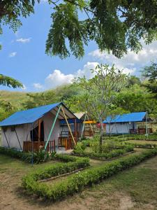 a group of tents in a field with trees at Beach Camp Lombok in Sekotong