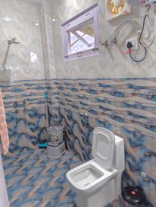 a bathroom with a toilet and a sink at Cedar Crest Homestay in Kulu