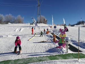 a group of people skiing down a snow covered slope at Chalet Glockenhof in Walchsee