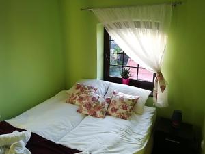 a bed in a green room with a window at Młyn in Chodecz