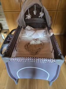 a baby crib with a baby sleeping in it at Adli in Disentis