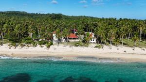 an aerial view of a beach with palm trees at Villa Virtud Beach Resort in Alegria