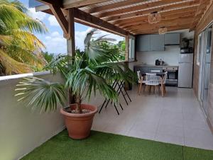 a patio with a kitchen and a potted plant at Lodge de Charme Vue Imprenable in Le Robert