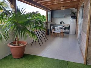 a kitchen and dining room with a potted plant at Lodge de Charme Vue Imprenable in Le Robert +8 photos