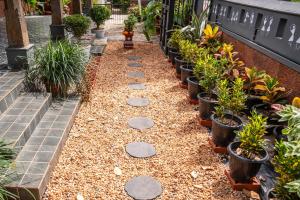 a garden with potted plants and rocks at Illam By Santhi in Varkala