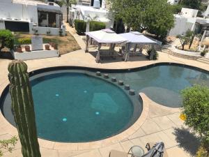 a large swimming pool with a cactus next to a patio at Casa Tezal Alberca in Cabo San Lucas