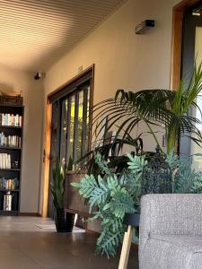 a living room with plants and a couch at La Bodega Waiheke Island in Surfdale