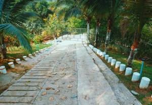 a stone path with palm trees and a park at Posada Campestre en Doradal in Puerto Triunfo