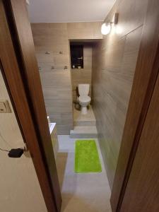 a bathroom with a toilet and a green rug at Tom & Jerry - Family Apartment in Pottendorf +15 photos
