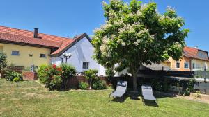 a group of chairs sitting under a tree in a yard at Panzers Ferienwohnungen in Asparn an der Zaya