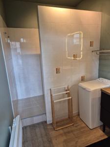 a bathroom with a shower and a washing machine at Gite Normandie in Forges-les-Eaux