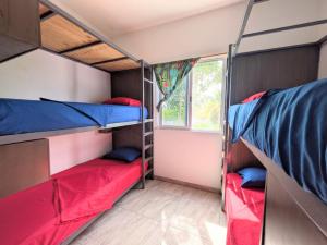 Ein Schlafsaal mit zwei Etagenbetten und einem Fenster in der Unterkunft Hostel Humanity - Puerto Morelos in Puerto Morelos
