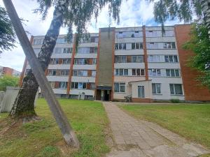 an apartment building with a palm tree in front of it at Baltas beržas in Anykščiai