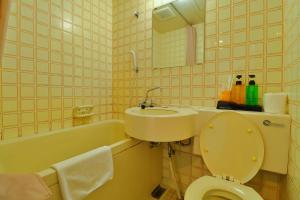 a bathroom with a sink and a toilet and a tub at Ribera Inn in Satsumasendai +9 photos