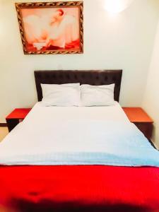 a bedroom with a red and white bed with a picture on the wall at AWESOME HOME's in Arusha