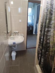 a bathroom with a sink and a shower curtain at Kék Vándor Vendégház in Rédics +65 photos