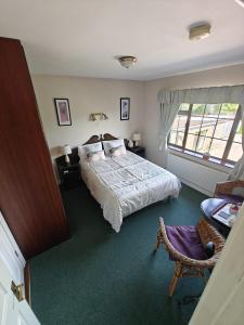 a bedroom with a bed and a chair and a window at Riverview House in Athlone