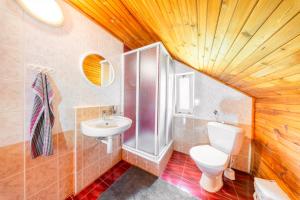 a bathroom with a toilet and a sink at Pension Kubát in Špindlerův Mlýn +35 photos