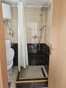 a bathroom with a shower and a toilet at Apartman Edis i Elma in Visoko +25 photos