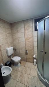 a bathroom with a toilet and a sink and a shower at Casa Trei Brazi Bratca in Bratca +31 photos