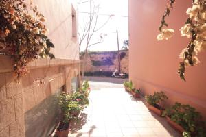 a courtyard with plants and a cat in the distance at Ulrika in Egina