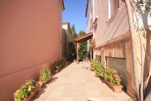 an alley with potted plants on the side of a building at Ulrika in Egina