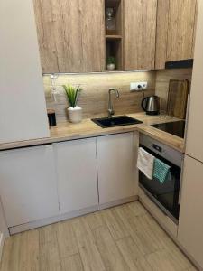 a kitchen with a sink and a stove top oven at Golf Green Resort - Hesperus 2 in Hrubá Borša