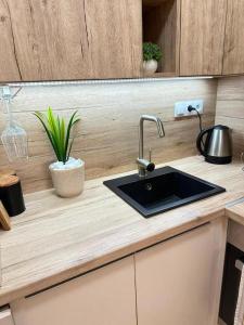 a kitchen counter with a sink and a plant at Golf Green Resort - Hesperus 2 in Hrubá Borša +3 photos