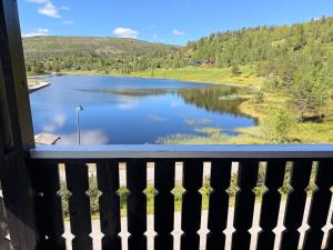 a view of a lake from a balcony at Bortelidseter in Åseral +3 photos