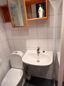 a bathroom with a toilet and a sink at Bortelidseter in Åseral