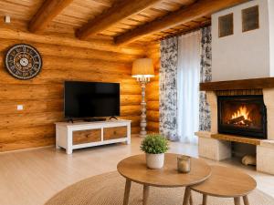 a living room with a television and a fireplace at Wolf's House in Gura Râului
