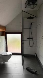 a bathroom with a shower and a tub and a toilet at Wolf's House in Gura Râului +28 photos