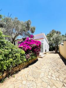 Gallery image of Johns Pool House Garden in Strovolos