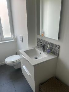 a white bathroom with a toilet and a sink at Le Cocoon - 2mn gare SNCF, hyper centre, WIFI-NETFLIX in Niort