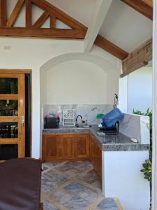 a kitchen with a sink and a counter top at Buenacosa Resort in Panglao Island