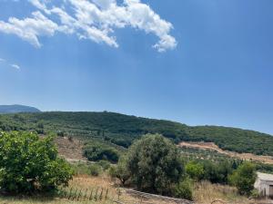 a view of a hill with trees and a house at Polylimnio landscape in Groustésion