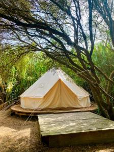 a tent on a wooden platform under a tree at La Veleta Cádiz in Cádiz