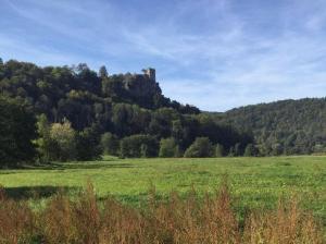a castle on top of a hill in a field at Ferienhaus Trautner in Muggendorf