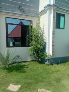 a house with a window and a grass yard at Ponte Vedra Lodge in Mwanza