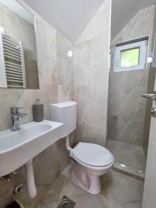 a bathroom with a toilet and a sink at Vila Vidovic Drina in Bajina Bašta +7 photos