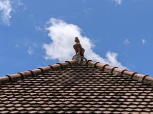 a cat statue sitting on top of a roof at Cosy Cottage Living Harmoniously in Tabanan