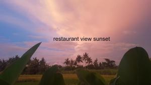 widok na chmurne niebo z palmami na polu w obiekcie Villa Rosseno - Evelyn Private pool and Garden w mieście Yogyakarta