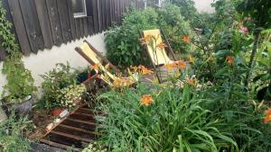 a garden with a bunch of plants and flowers at Cabane & Jardin in La Tremblade