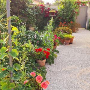 a garden filled with lots of flowers in pots at Cabane & Jardin in La Tremblade