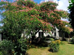 a tree with pink flowers on it in a yard at Cabane & Jardin in La Tremblade