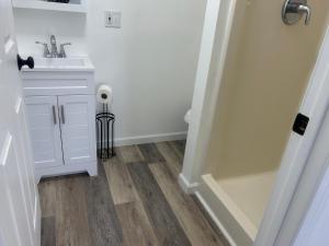 a bathroom with a sink and a shower stall at Loft Apartment by the River Fort Edward in Fort Edward