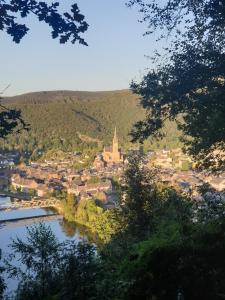 a view of a town with a river and a city at Ma p'tite maison in Fumay