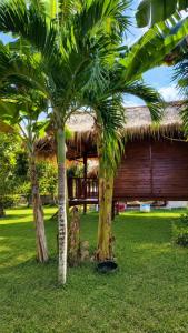 a resort with two palm trees in the grass at Garden Cottage in Gili Gede +41 photos